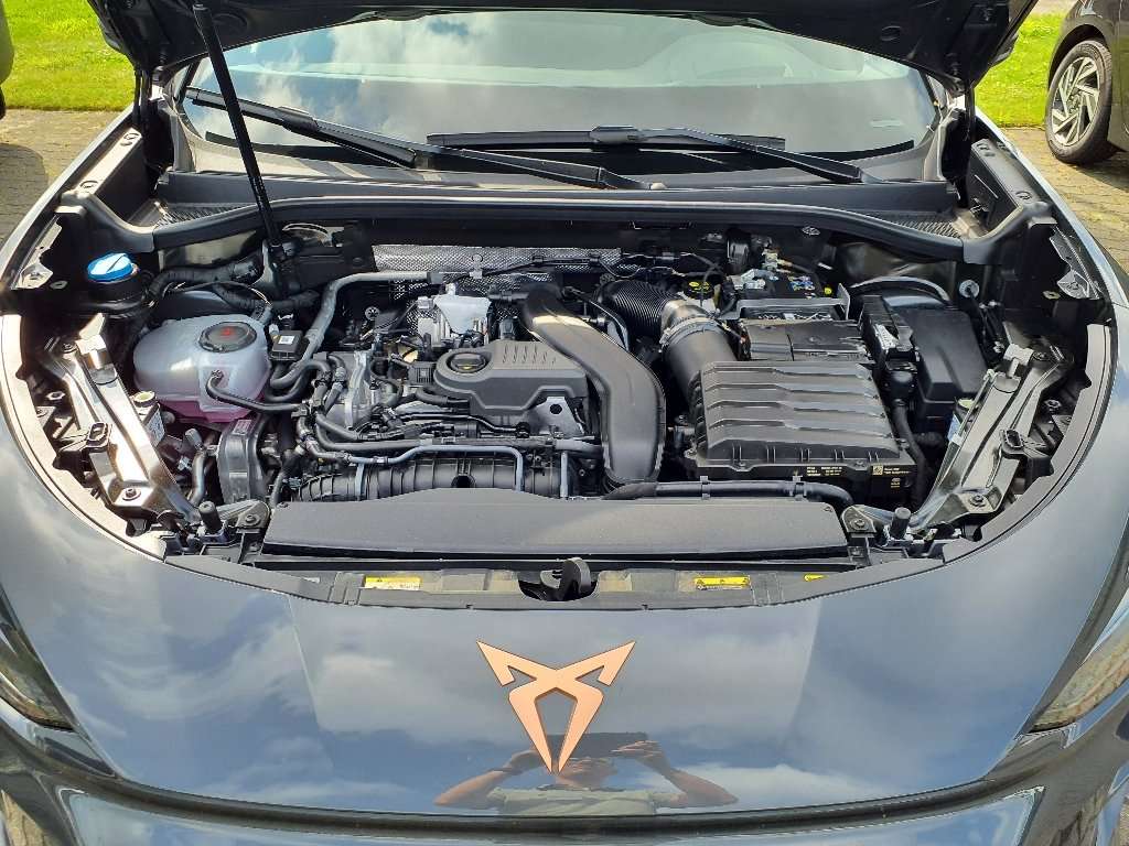 Fahrzeugbild eines CUPRA Terramar