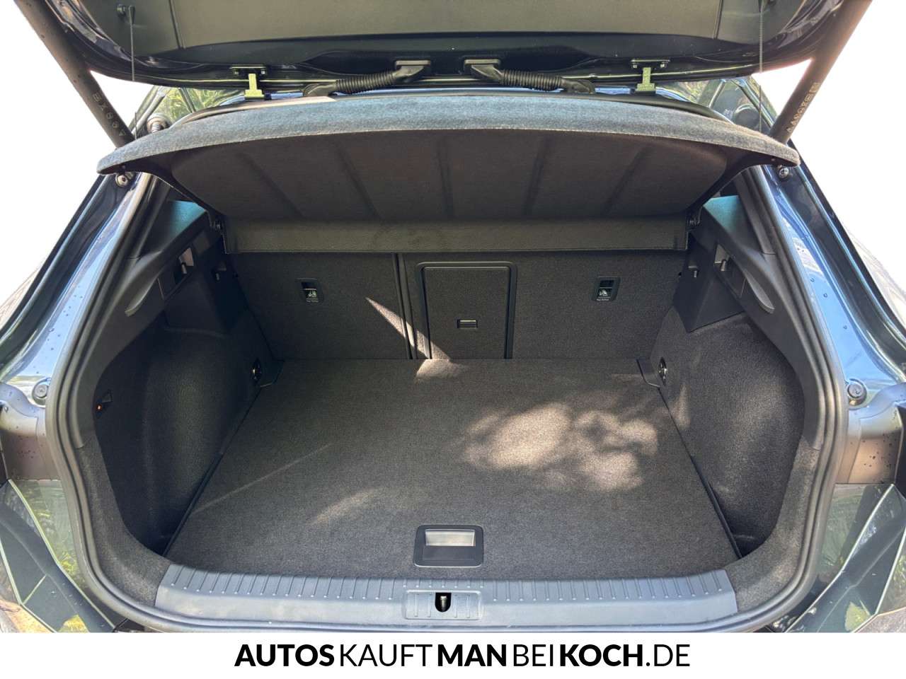 Fahrzeugbild eines CUPRA Formentor