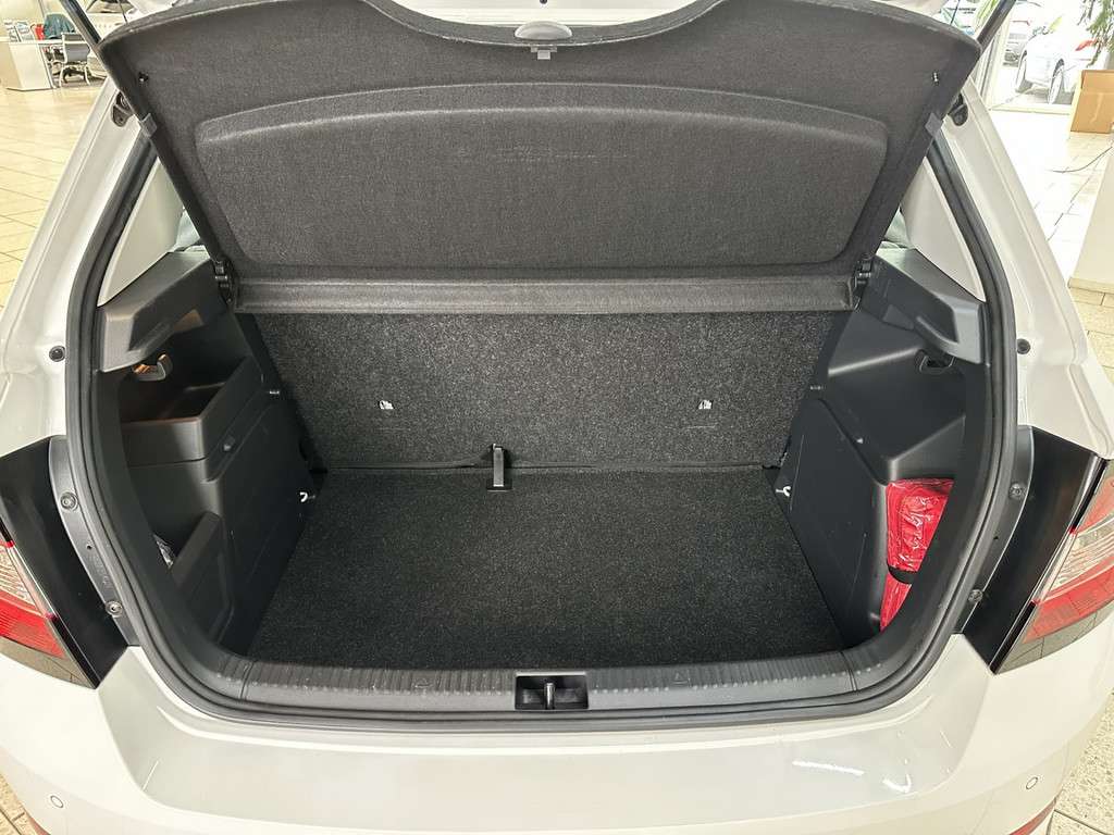 Fahrzeugbild eines Skoda Fabia