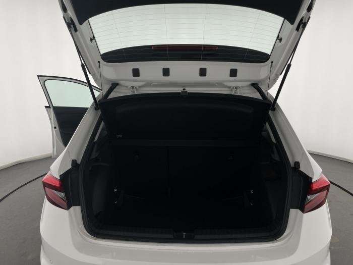 Fahrzeugbild eines Skoda Fabia