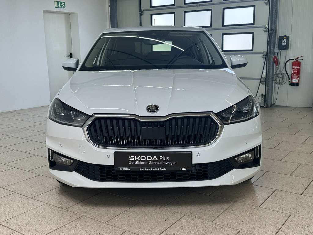 Fahrzeugbild eines Skoda Fabia