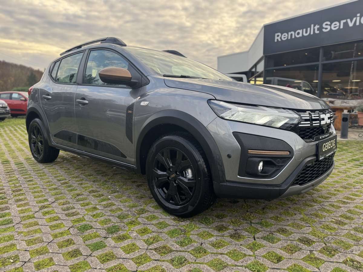 Fahrzeugbild eines Dacia Sandero