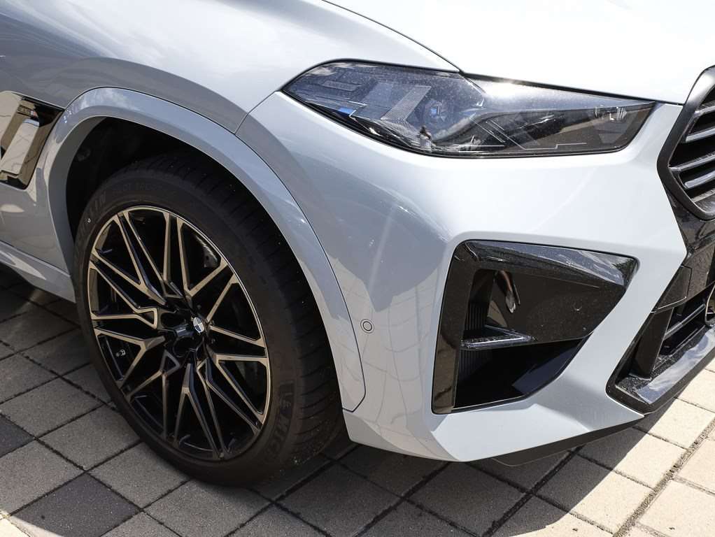 Fahrzeugbild eines BMW X6