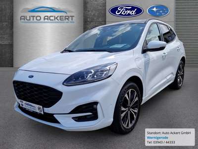 Bild Ford Kuga
