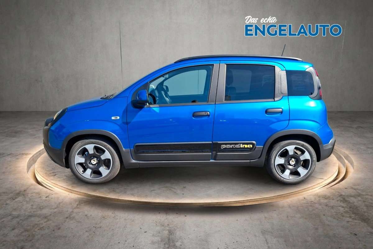 Fahrzeugbild eines Fiat Panda
