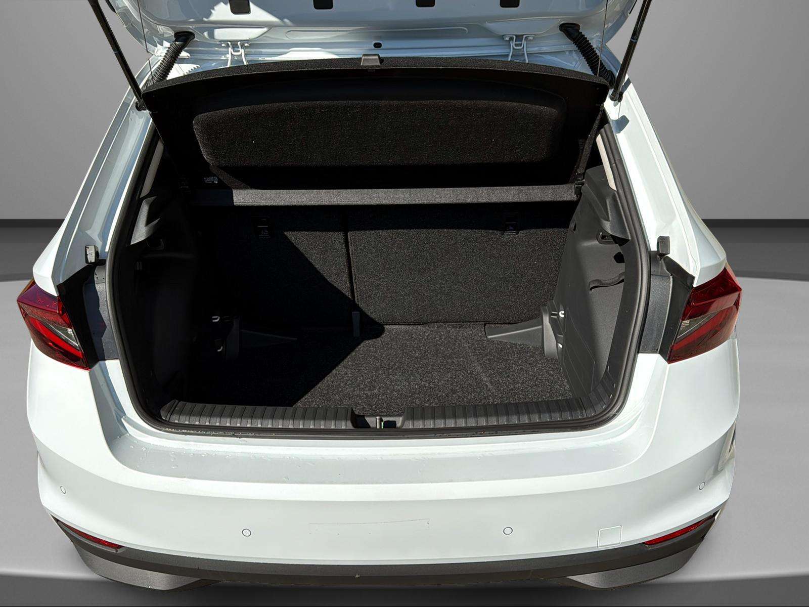 Fahrzeugbild eines Skoda Fabia