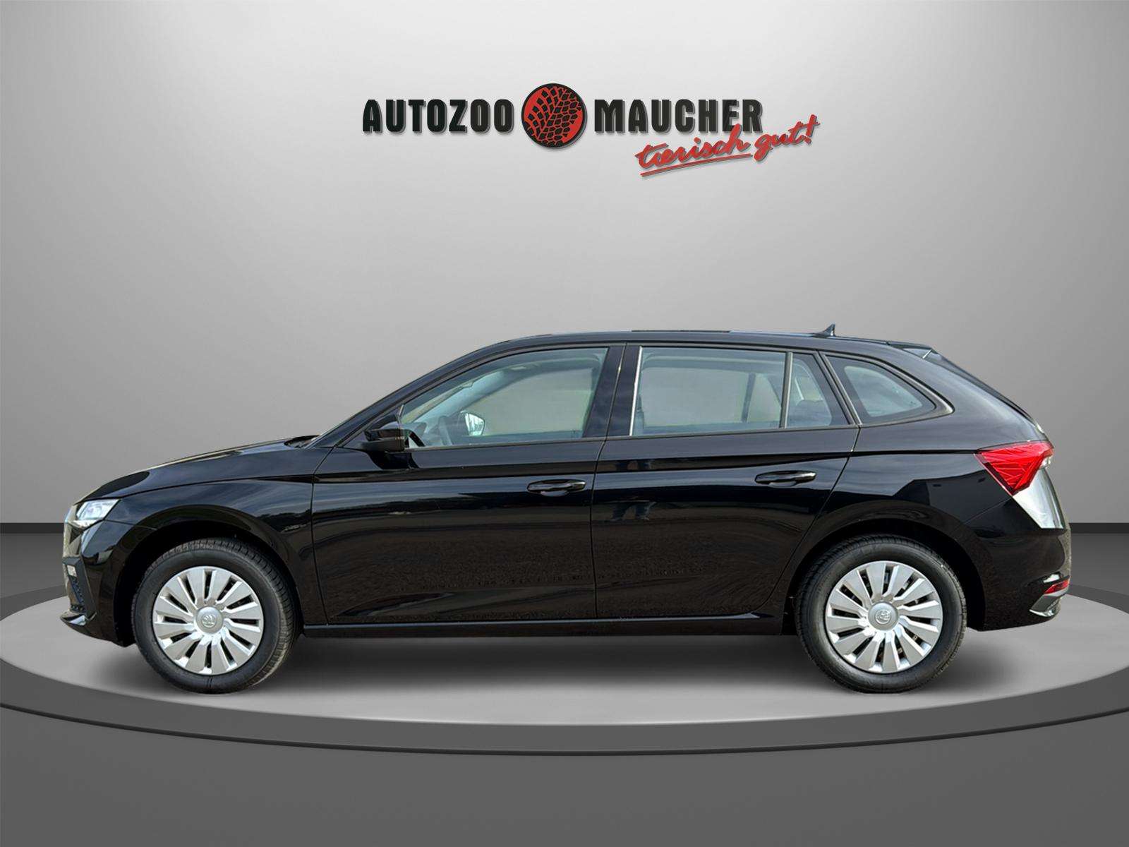 Fahrzeugbild eines Skoda Scala
