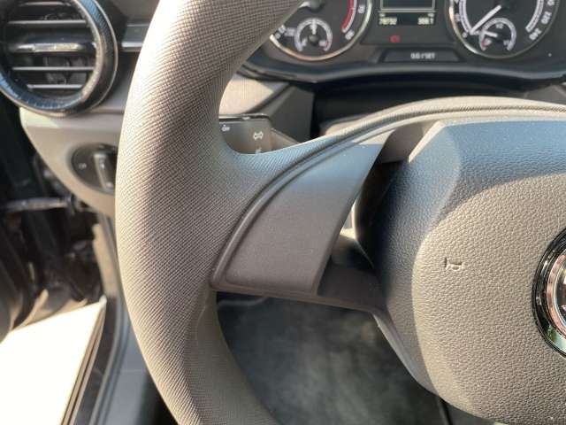 Fahrzeugbild eines Skoda Fabia