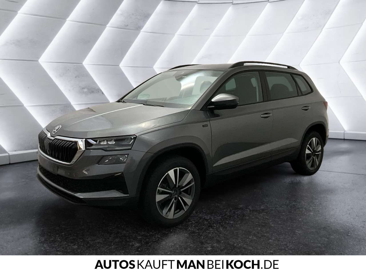 Fahrzeugbild eines Skoda Karoq