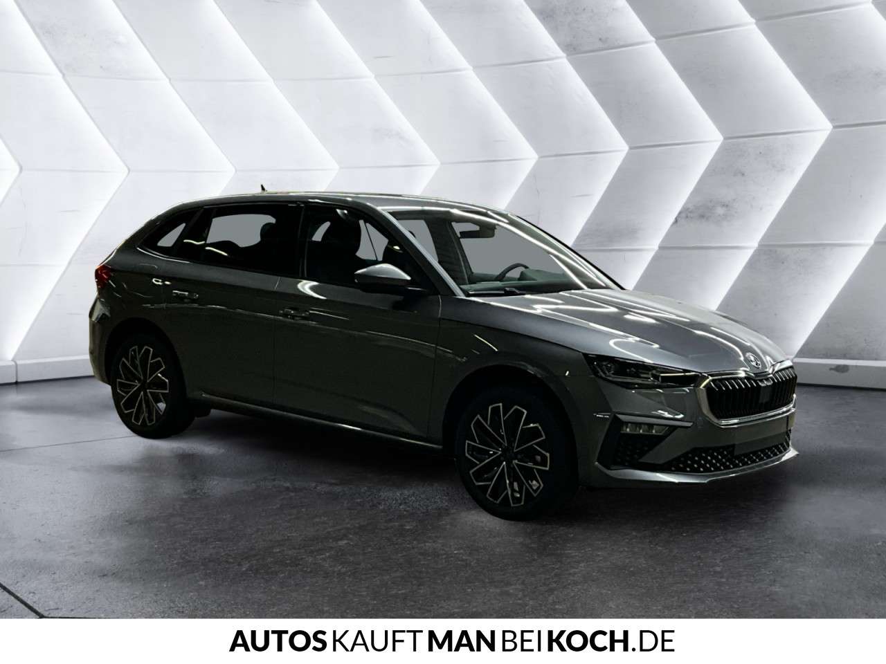 Fahrzeugbild eines Skoda Scala