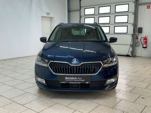 Fahrzeugbild eines Skoda Fabia