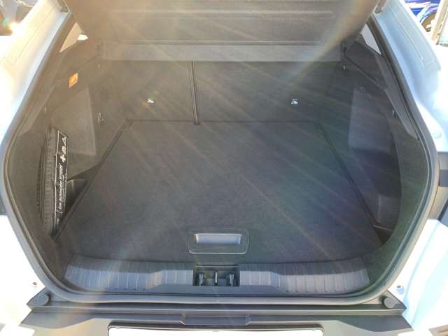 Fahrzeugbild eines Renault Arkana