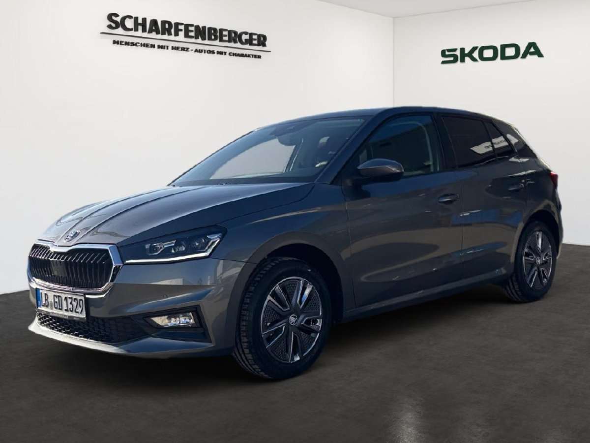 Fahrzeugbild eines Skoda Fabia