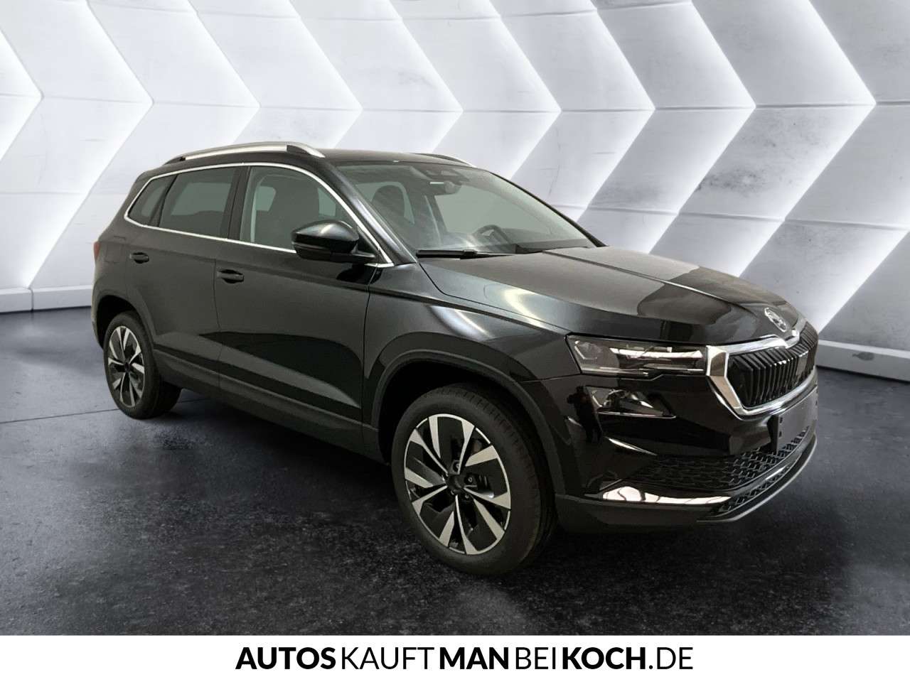 Fahrzeugbild eines Skoda Karoq