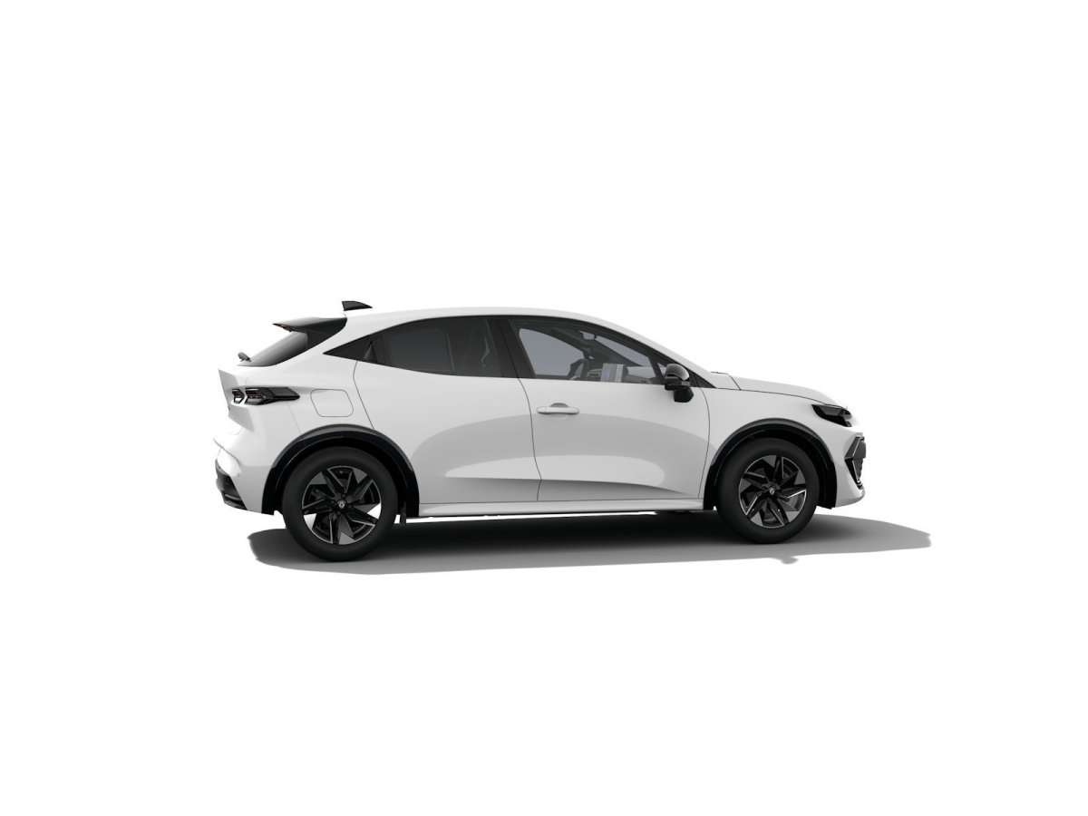 Fahrzeugbild eines Renault Clio