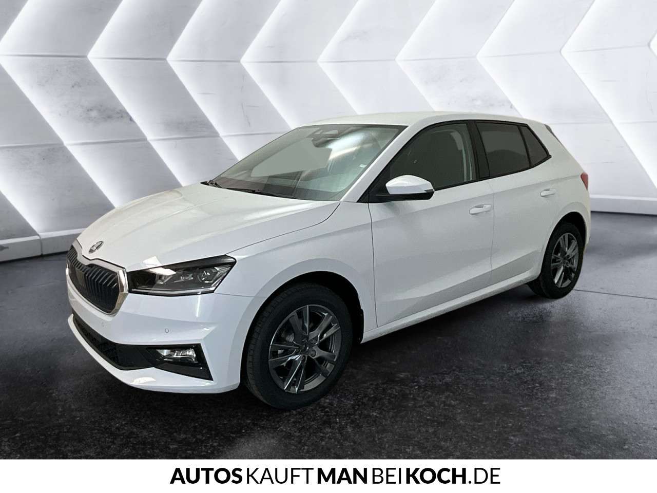 Fahrzeugbild eines Skoda Fabia