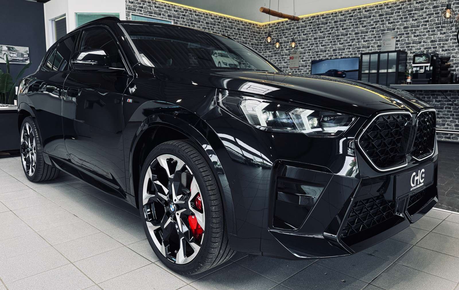 Fahrzeugbild eines BMW X2