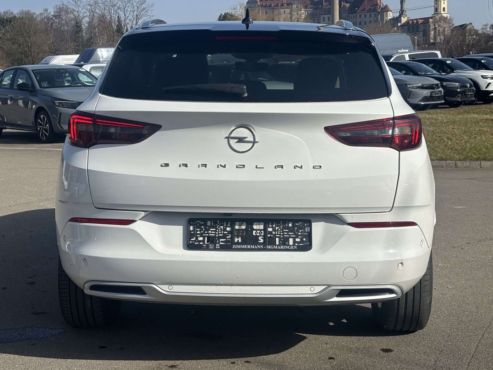 Fahrzeugbild eines Opel Grandland X