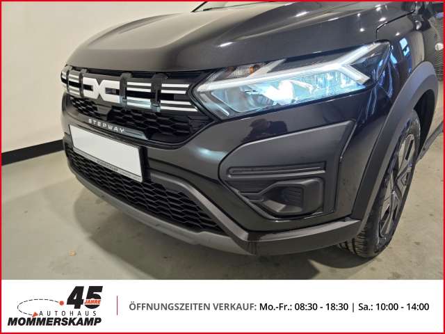 Fahrzeugbild eines Dacia Sandero