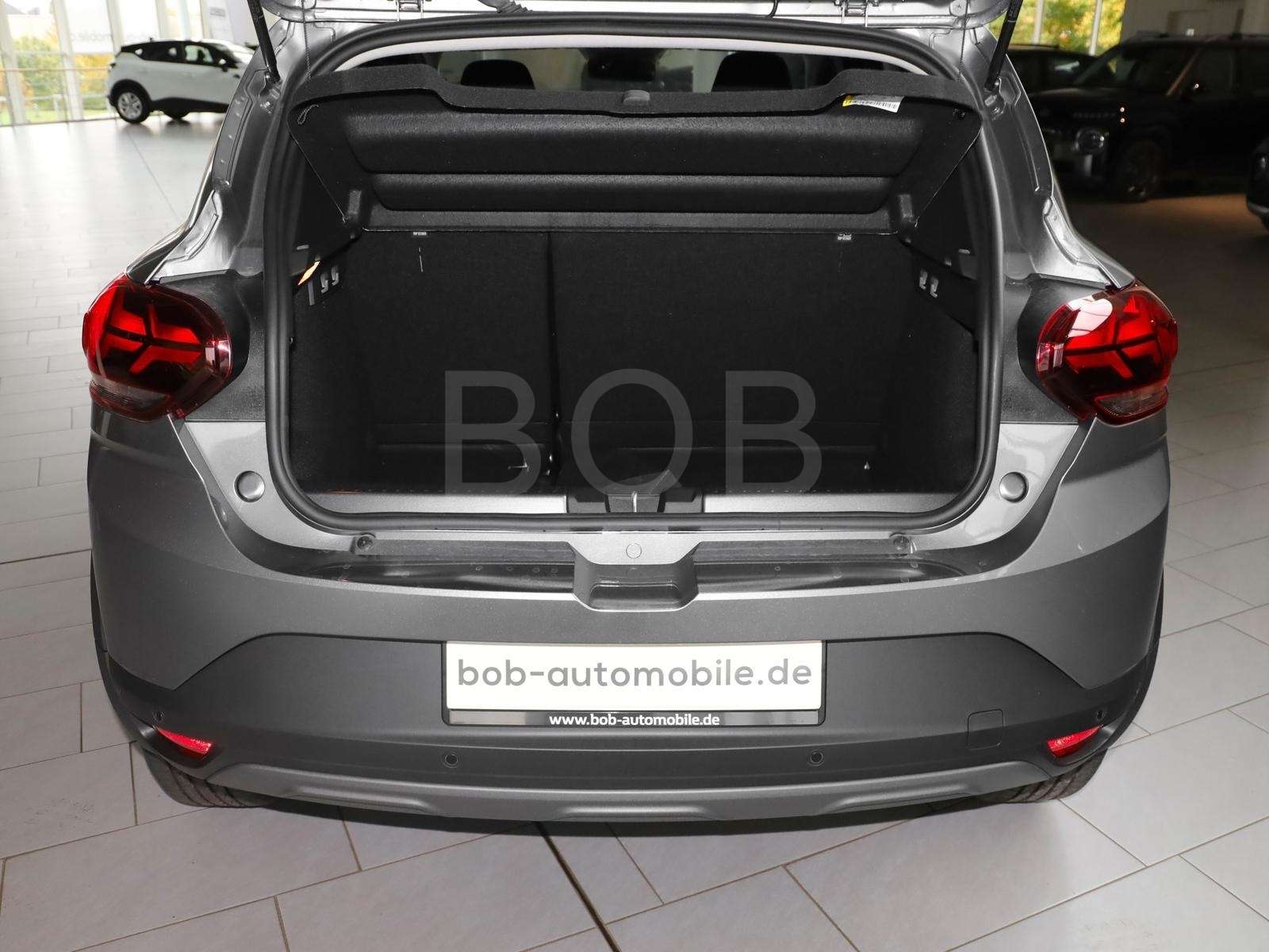 Fahrzeugbild eines Dacia Sandero