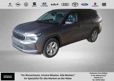 Bild Skoda Kodiaq
