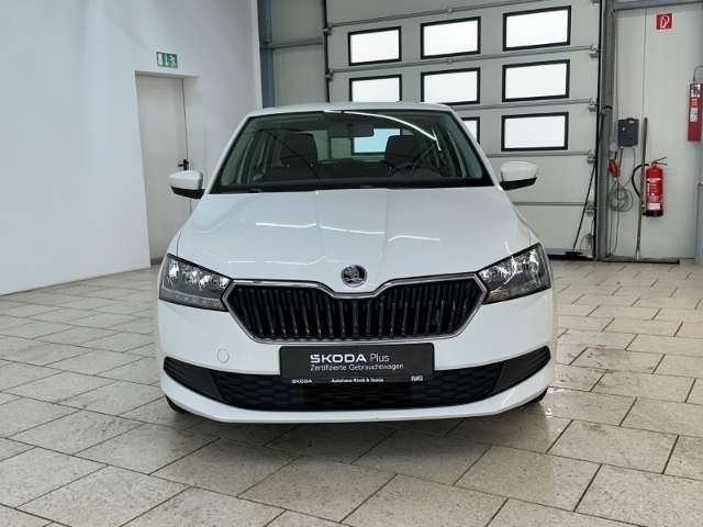 Fahrzeugbild eines Skoda Fabia