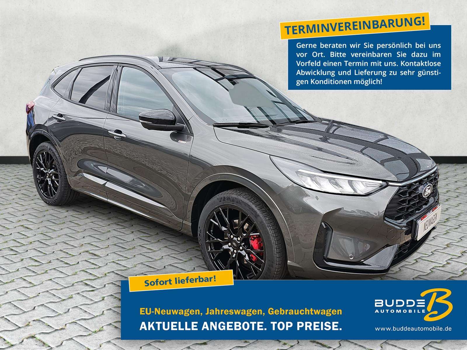 Fahrzeugbild eines Ford Kuga