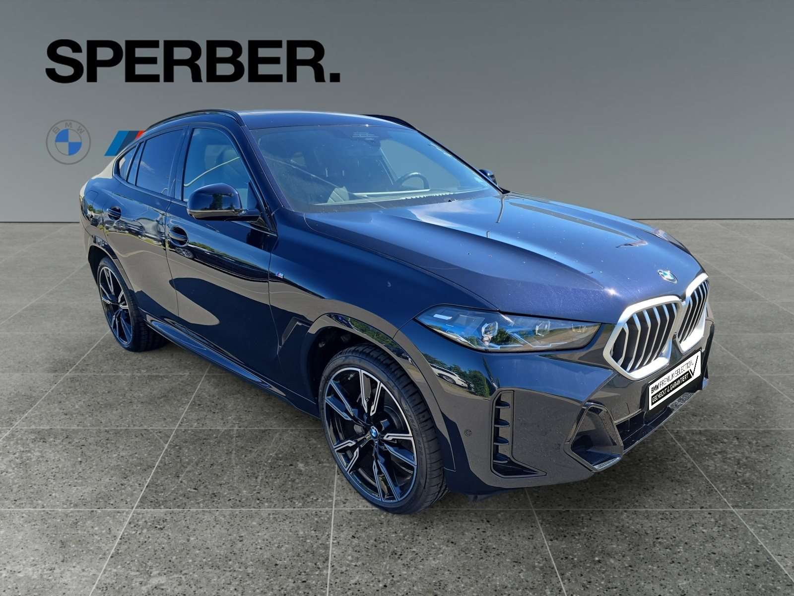 Fahrzeugbild eines BMW X6