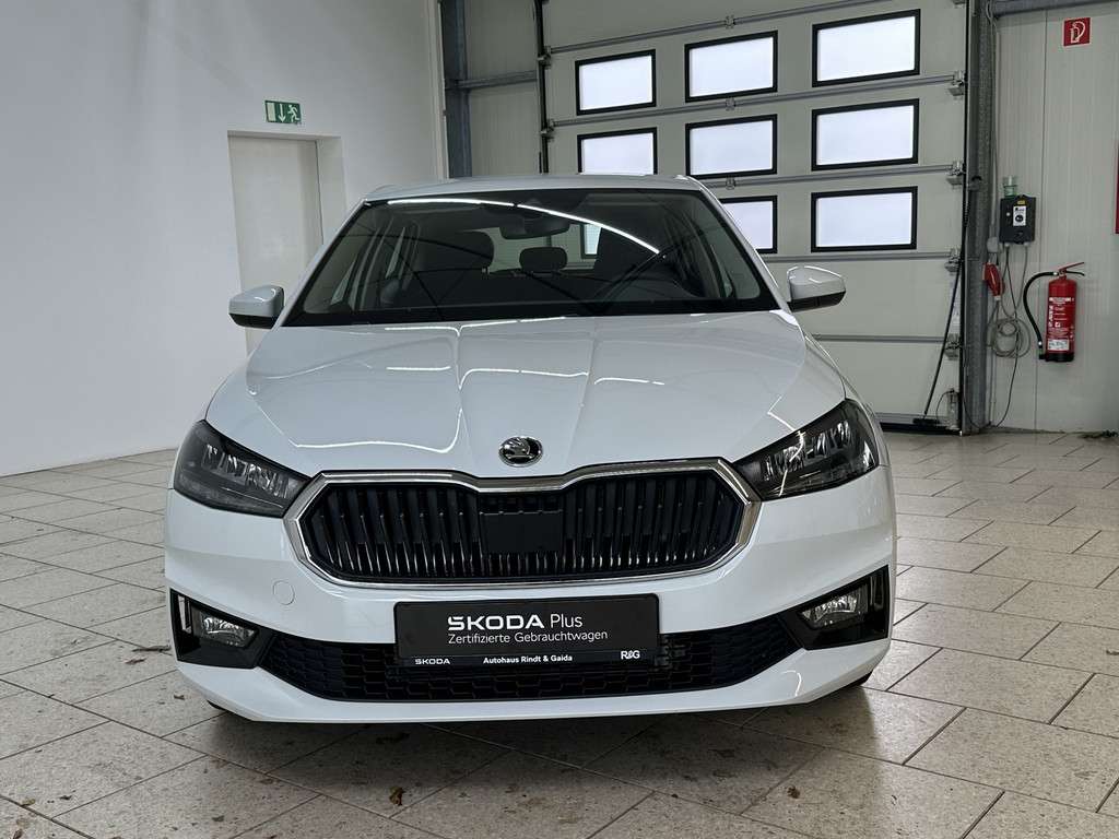 Fahrzeugbild eines Skoda Fabia