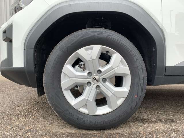 Fahrzeugbild eines Dacia Bigster