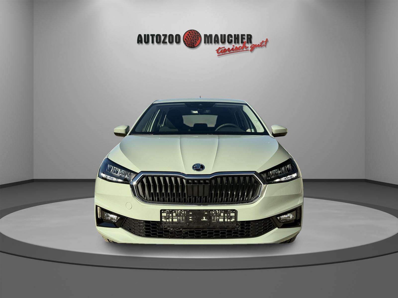 Fahrzeugbild eines Skoda Fabia