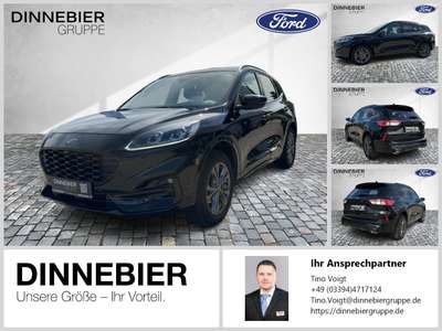 Bild Ford Kuga