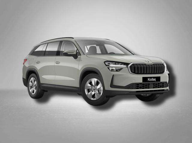 Fahrzeugbild eines Skoda Kodiaq