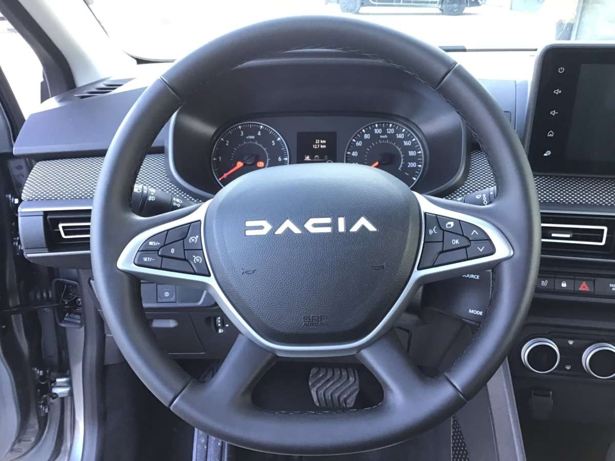 Fahrzeugbild eines Dacia Sandero