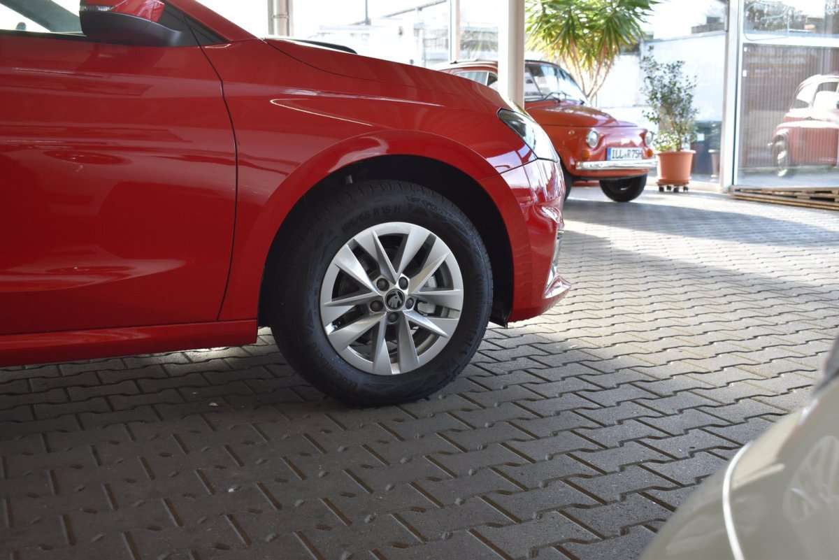 Fahrzeugbild eines Skoda Fabia