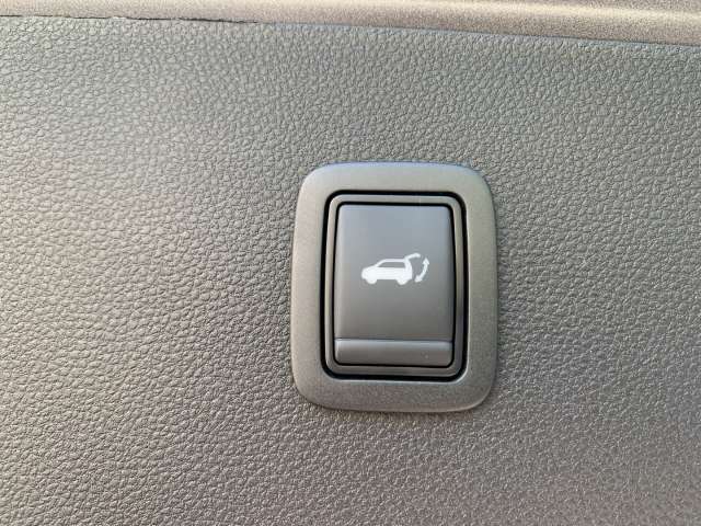 Fahrzeugbild eines Dacia Bigster