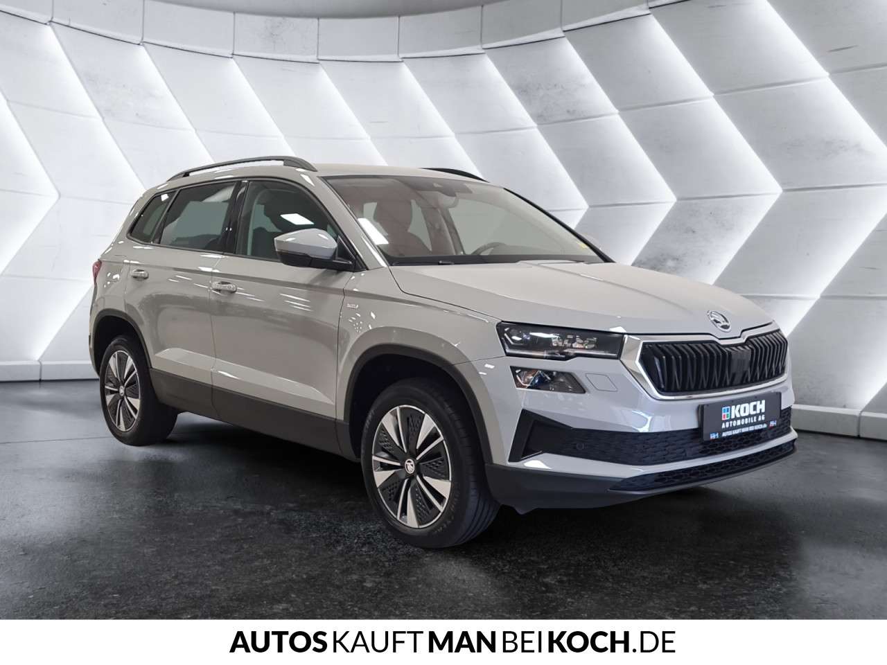 Fahrzeugbild eines Skoda Karoq