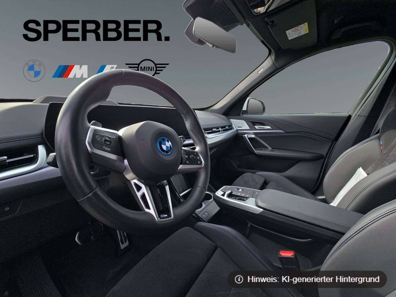 Fahrzeugbild eines BMW iX1