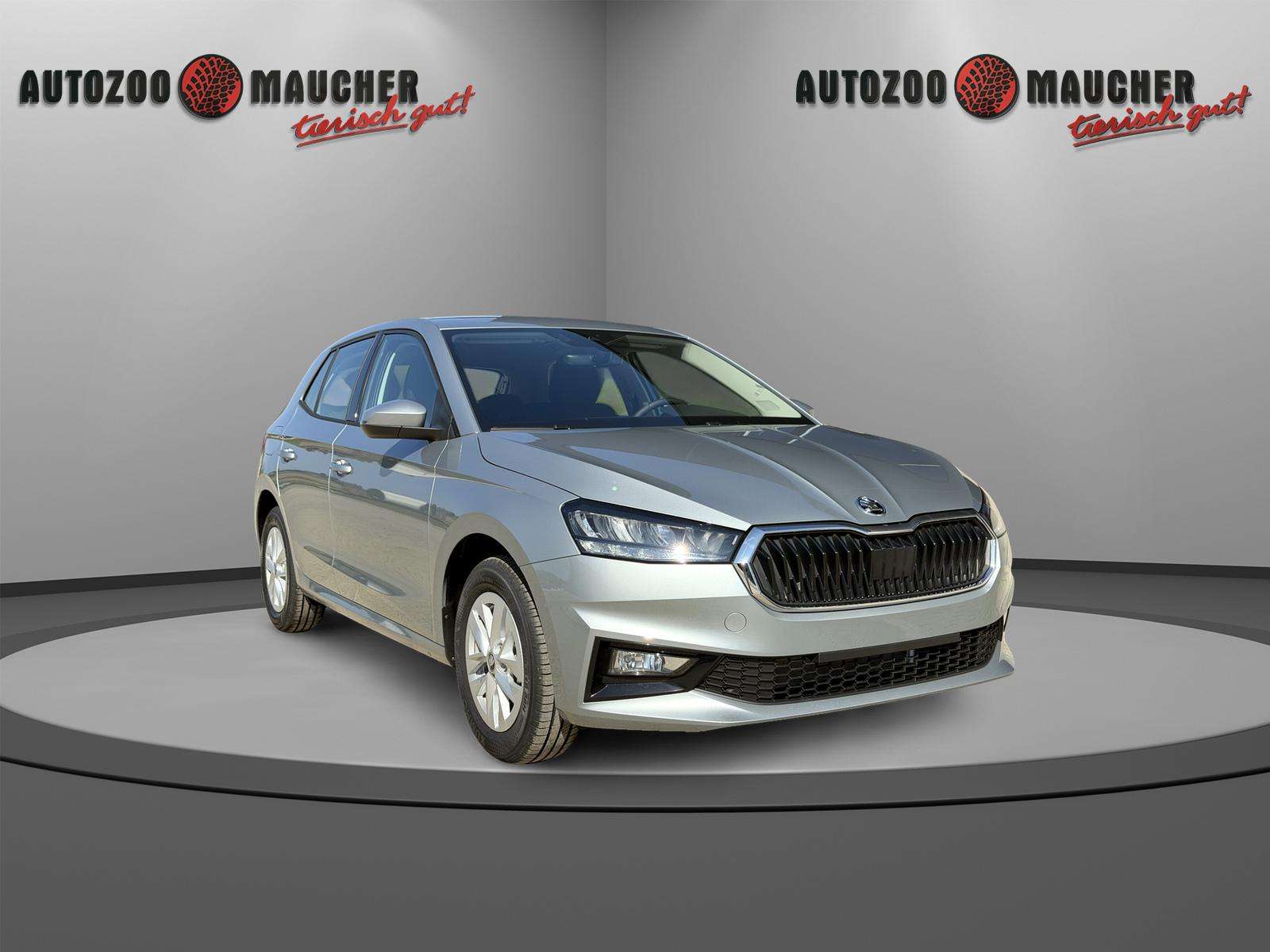 Fahrzeugbild eines Skoda Fabia