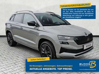 Bild Skoda Karoq