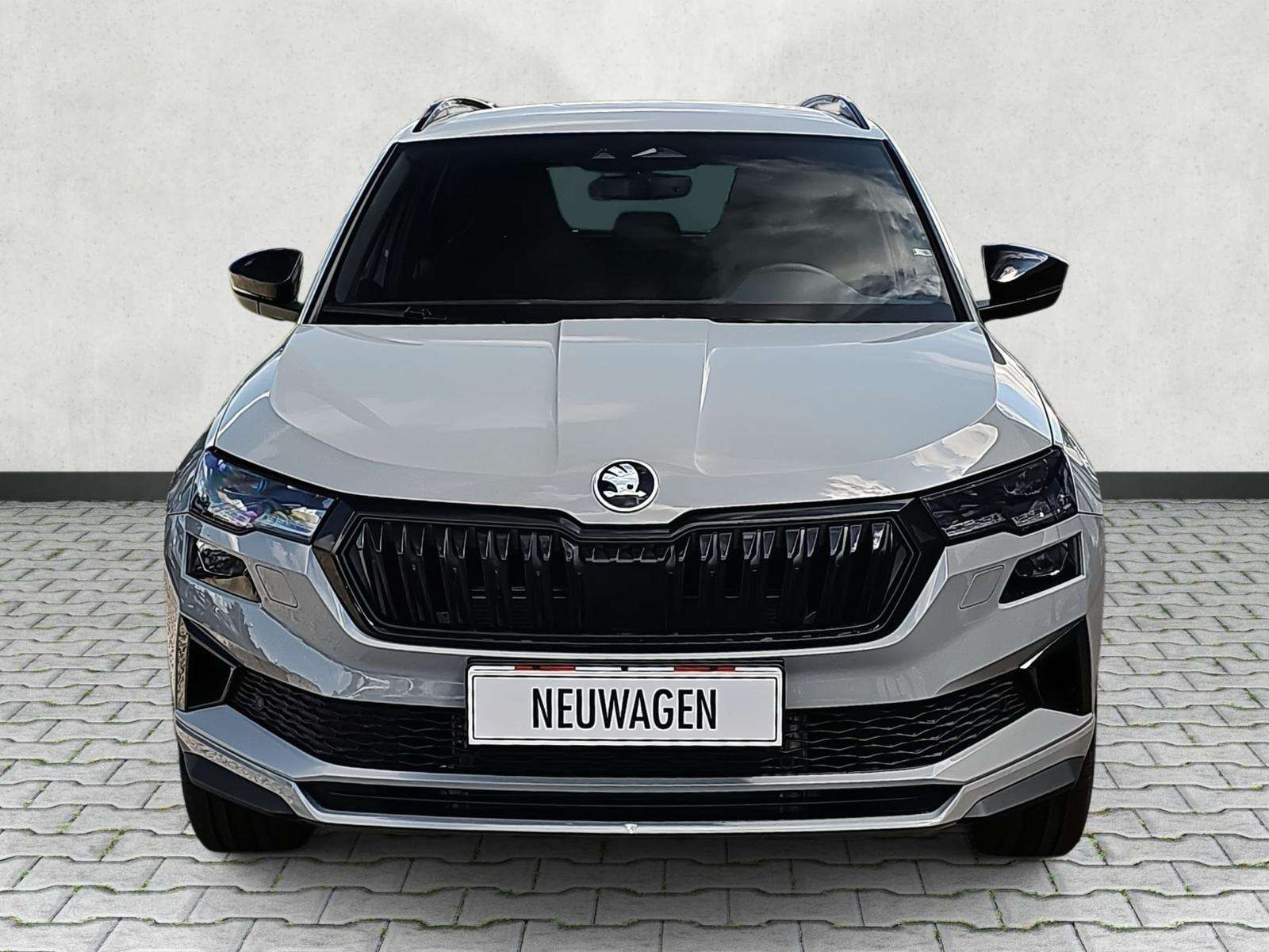 Fahrzeugbild eines Skoda Karoq