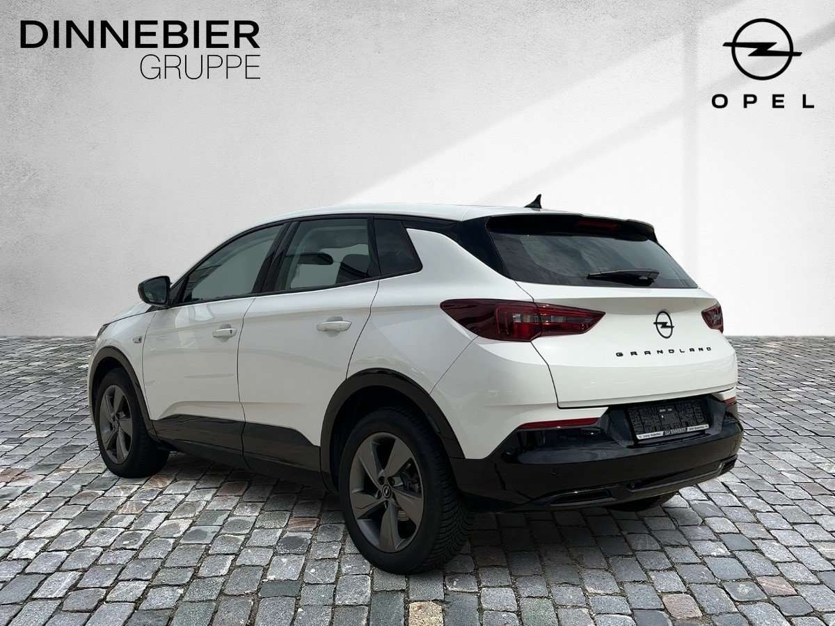 Fahrzeugbild eines Opel Grandland X