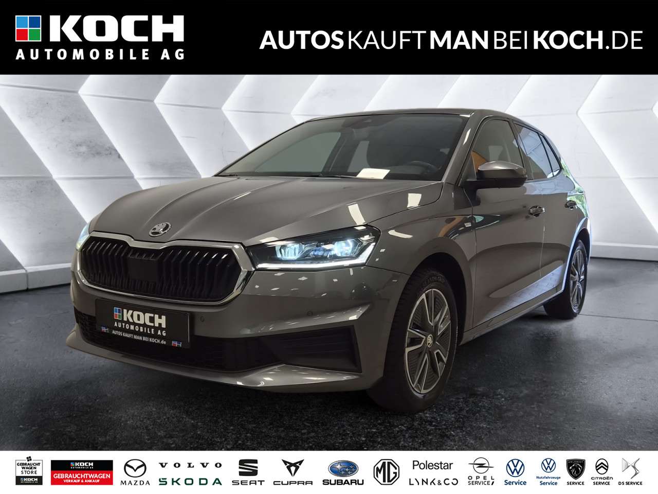 Fahrzeugbild eines Skoda Fabia