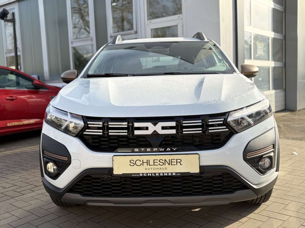 Fahrzeugbild eines Dacia Sandero