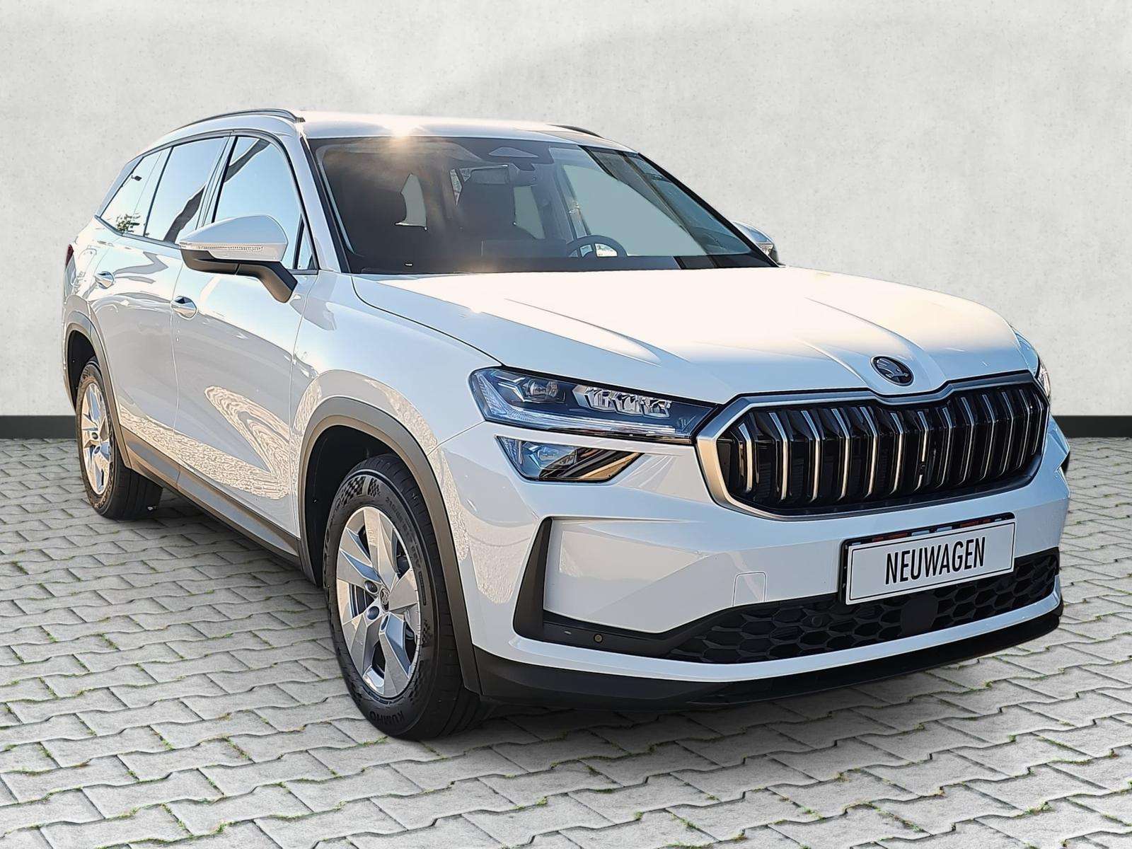 Fahrzeugbild eines Skoda Kodiaq