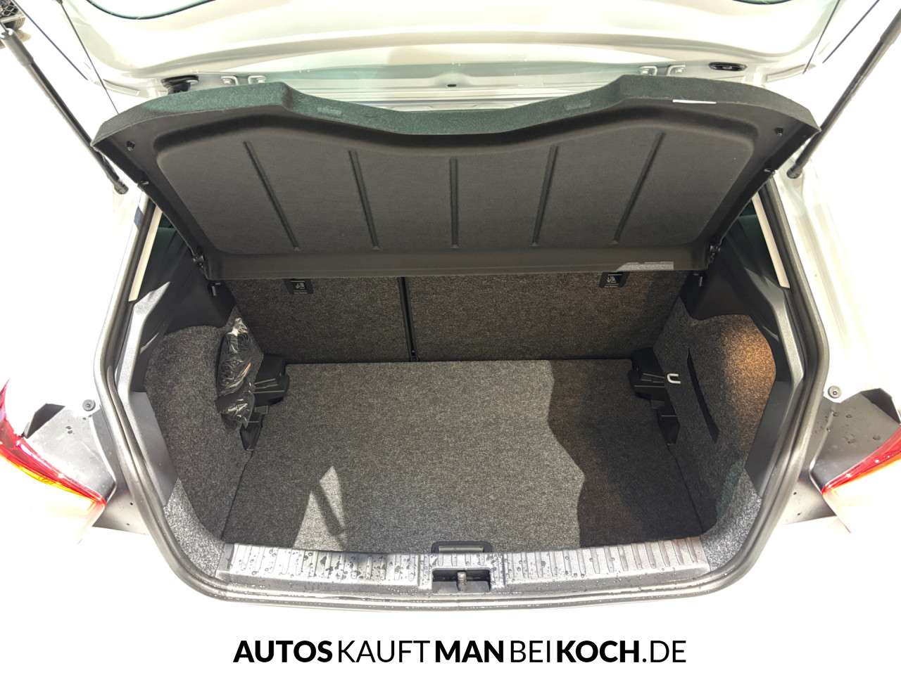 Fahrzeugbild eines SEAT Ibiza