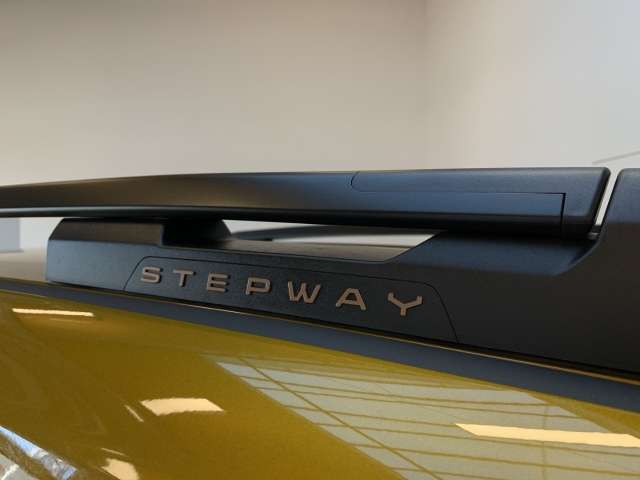 Fahrzeugbild eines Dacia Sandero