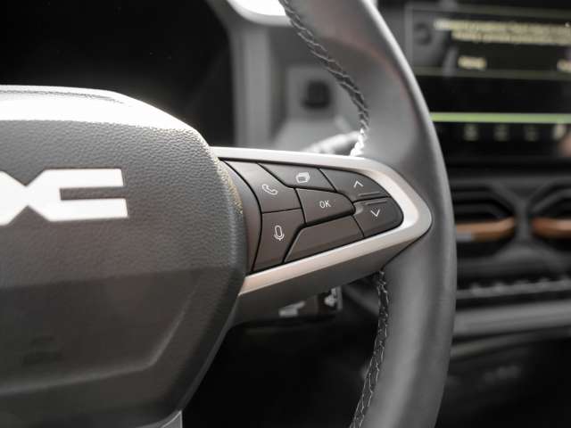 Fahrzeugbild eines Dacia Bigster