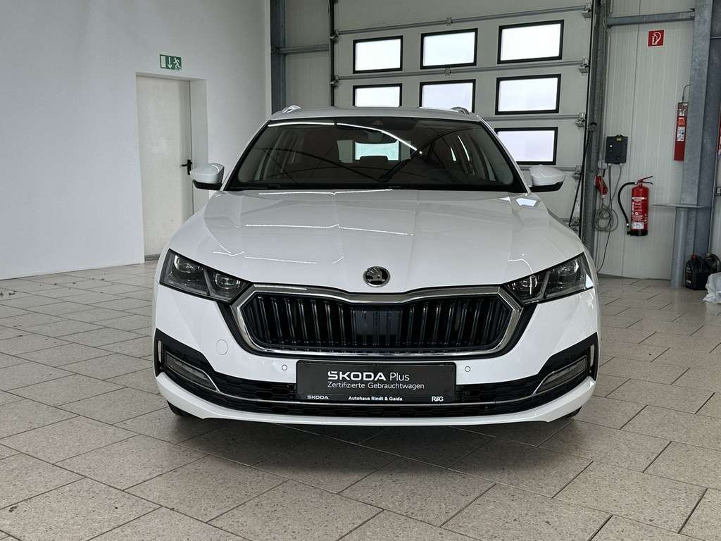 Fahrzeugbild eines Skoda Octavia