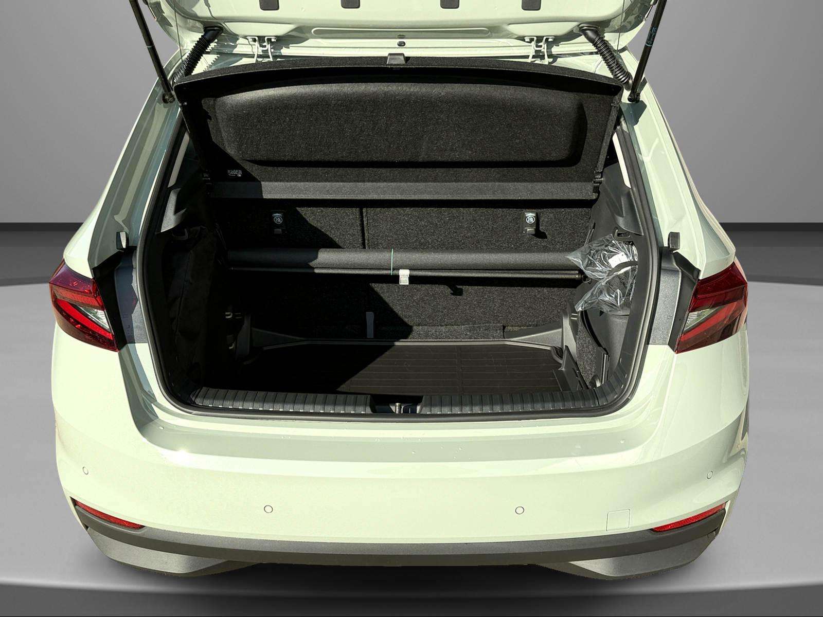 Fahrzeugbild eines Skoda Fabia